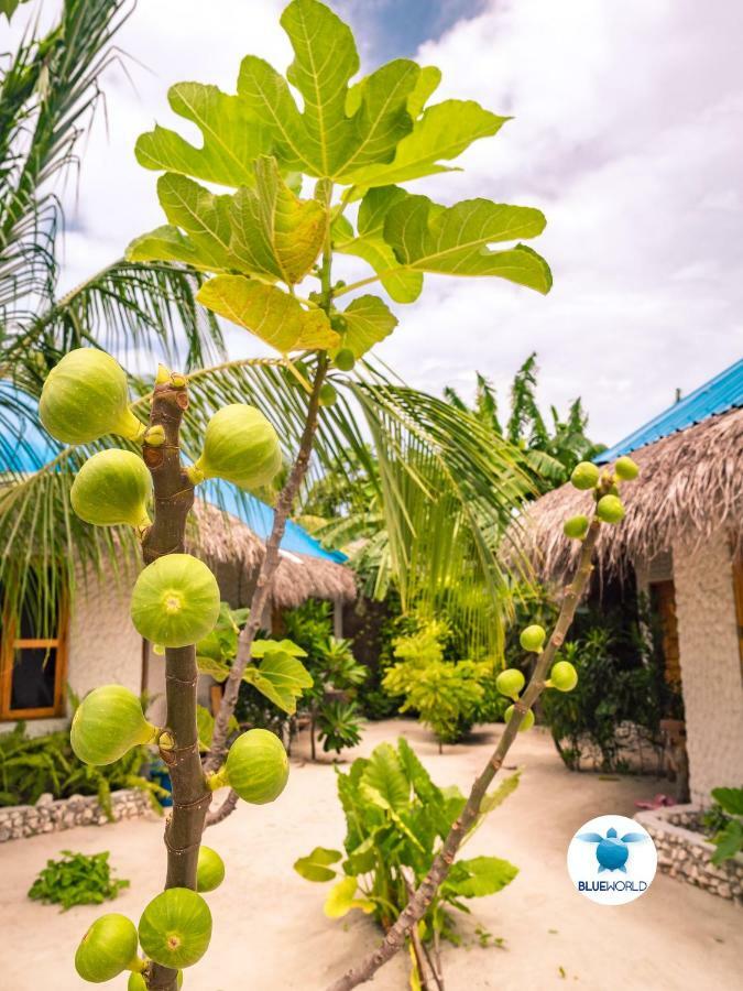 Blue World Dharavandhoo Exteriér fotografie
